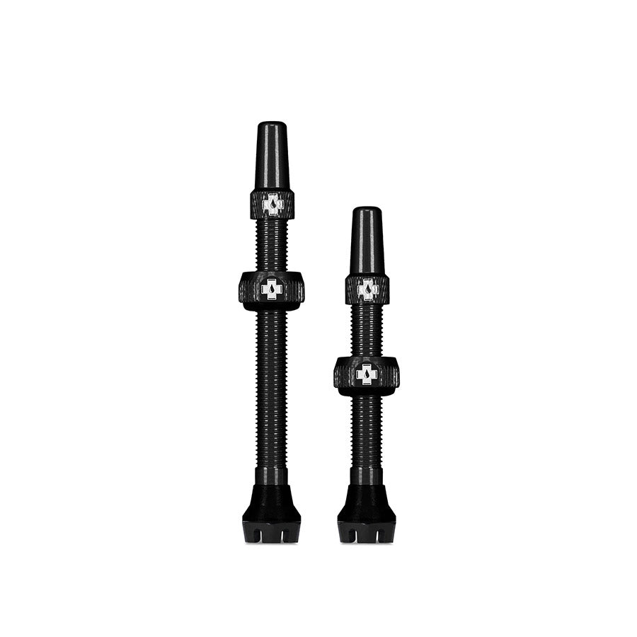 V2 tubeless valve Bosch