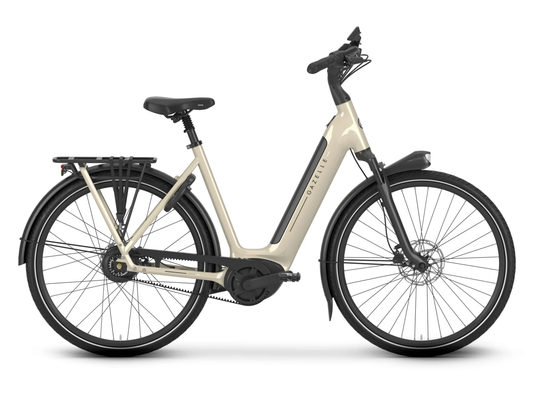 Gazelle Arroyo C380 Elite