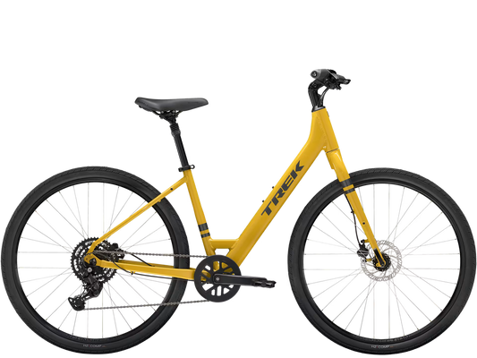 TREK Verve 2 Lowstep Gen 5